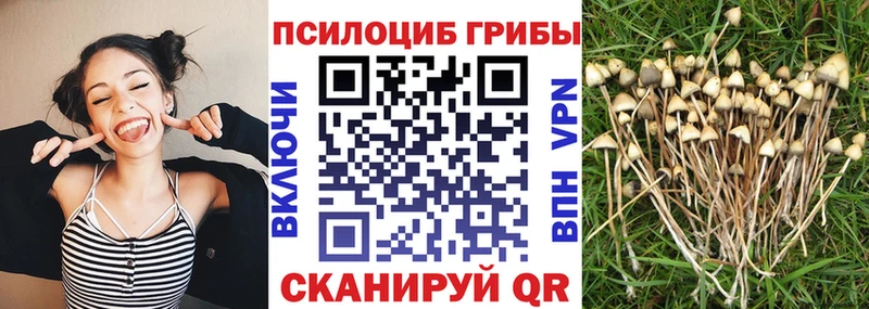 Галлюциногенные грибы MAGIC MUSHROOMS  Купить закладки  Воткинск 